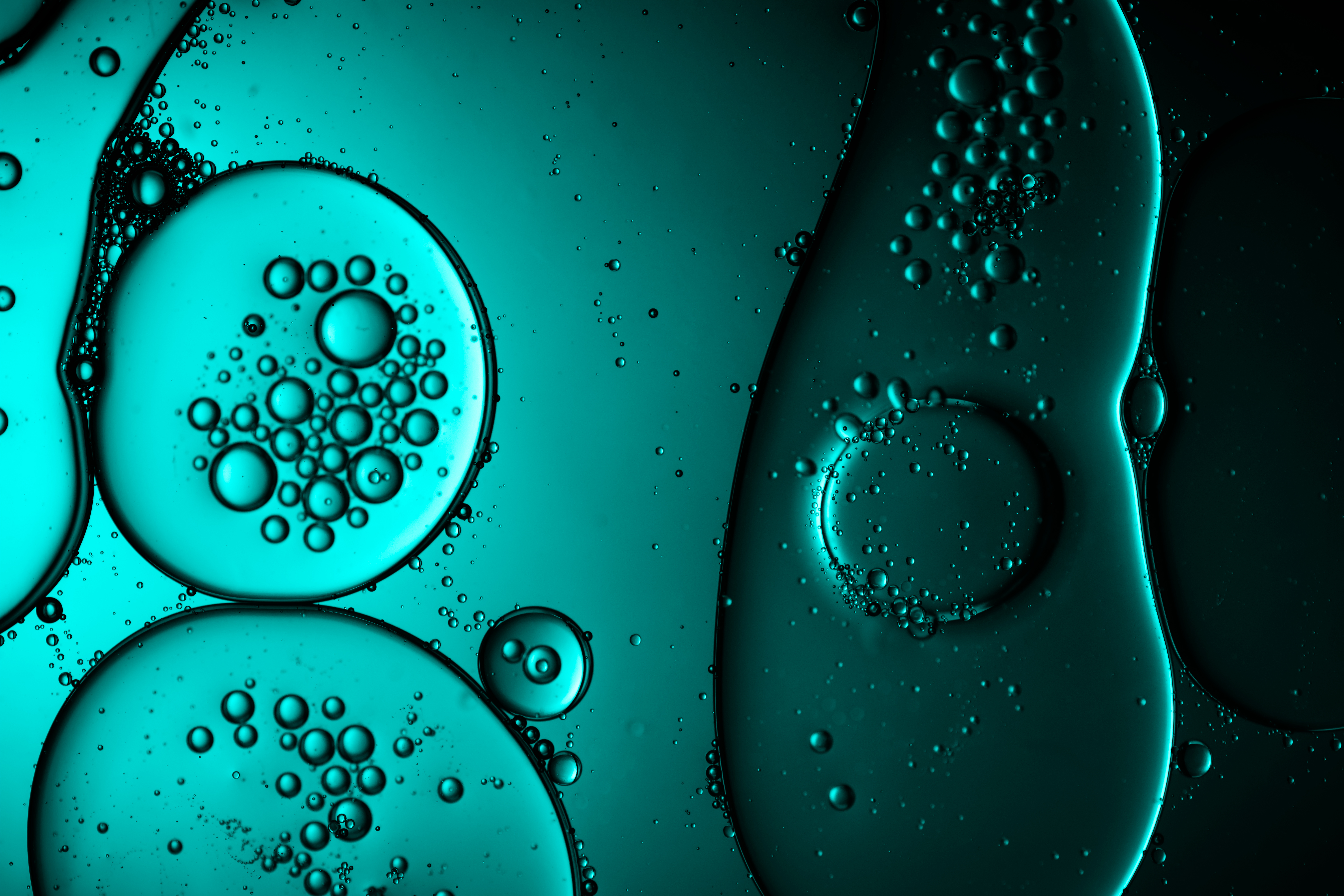 Banner  Image 2