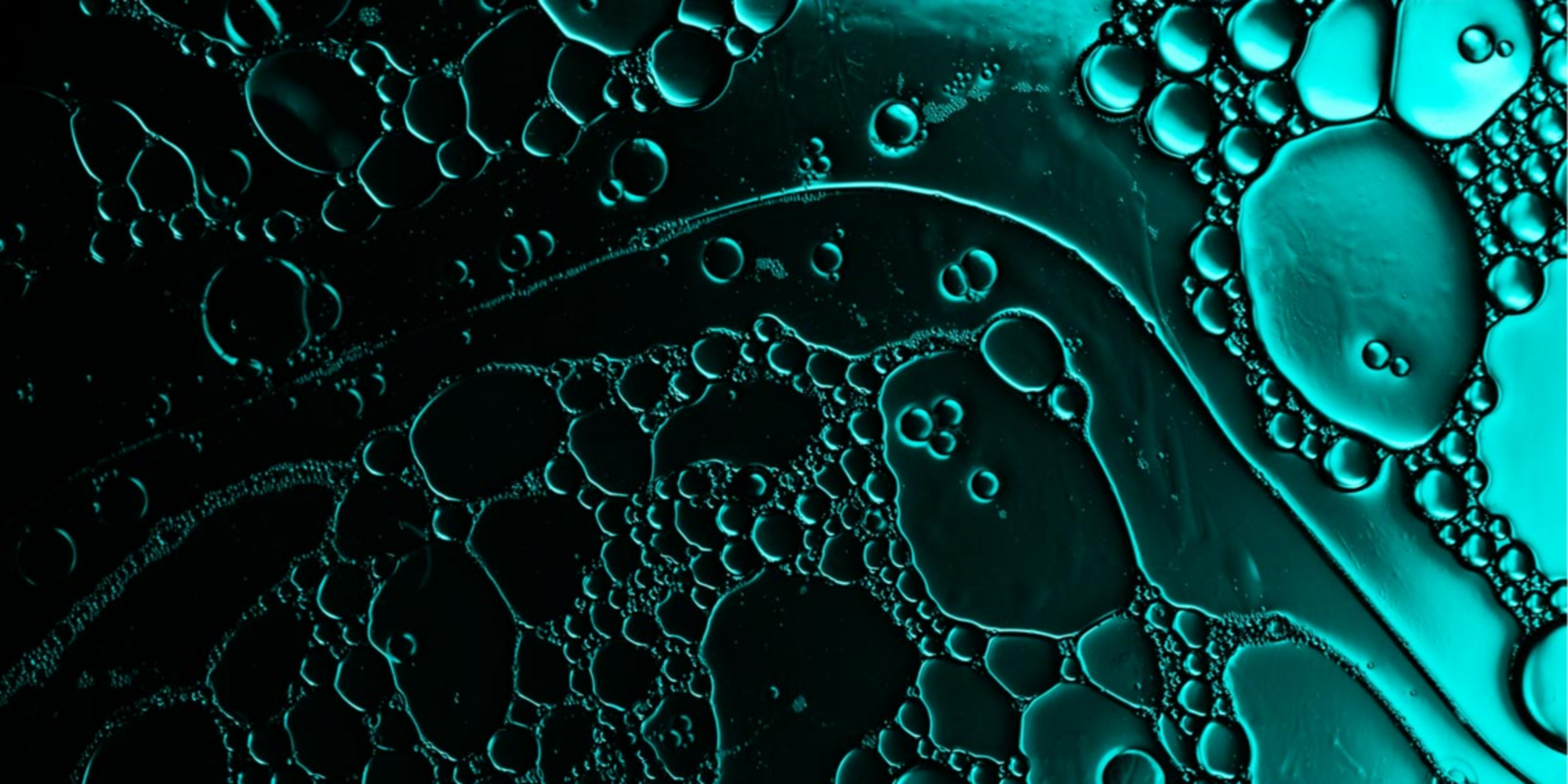 Banner Default Image